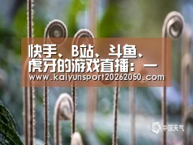 快手、B站、斗鱼、虎牙的游戏直播:一场腾讯四小弟的PK【开云电竞】(图2) 开云真人