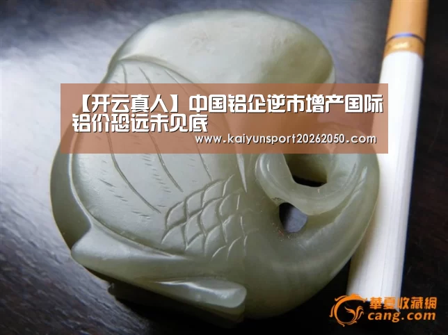 开云真人