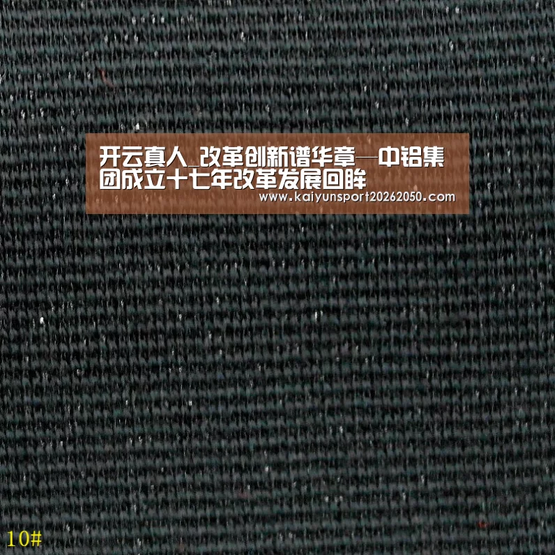 开云真人_改革创新谱华章—中铝集团成立十七年改革发展回眸(图3) 开云真人