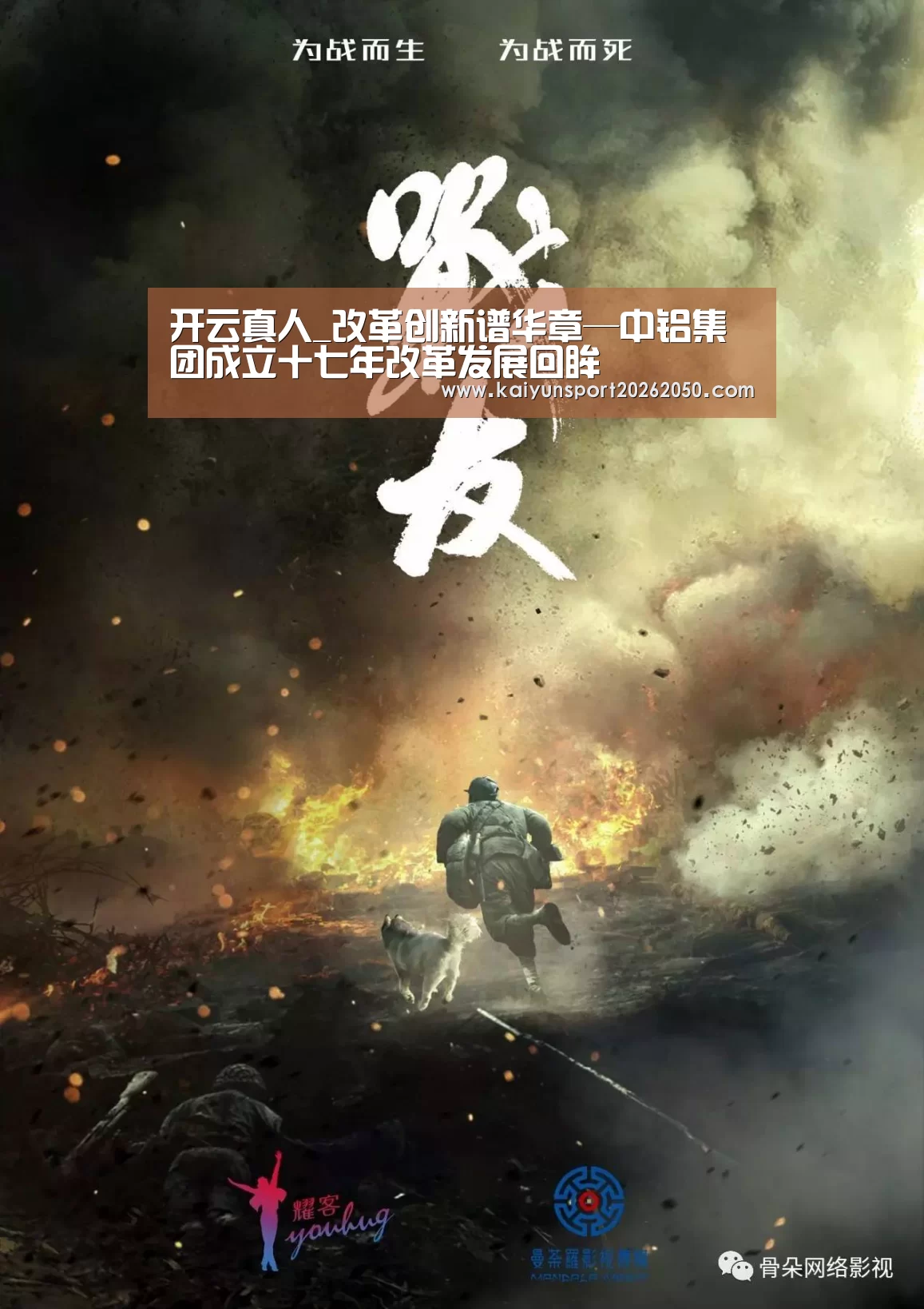 开云真人_改革创新谱华章—中铝集团成立十七年改革发展回眸(图2) 开云体验