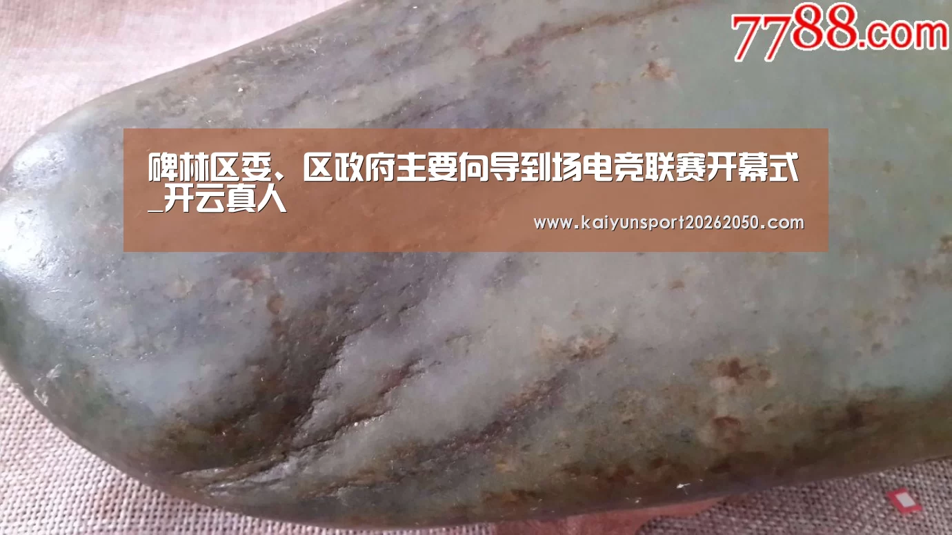 碑林区委、区政府主要向导到场电竞联赛开幕式_开云真人(图1) 开云电竞