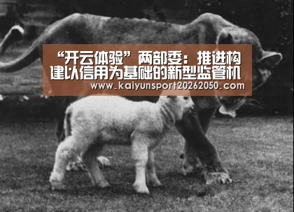 “开云体验”两部委:推进构建以信用为基础的新型监管机制_政策法规_新闻_矿道网(图2) 开云体验