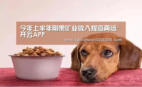 今年上半年刚果矿业收入提高两倍-开云APP(图2) 开云电竞